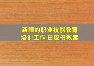 新疆的职业技能教育培训工作 白皮书教案